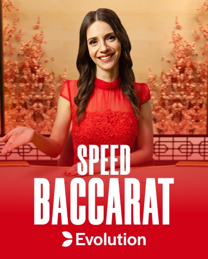 Wildzy Casino Live Dealer